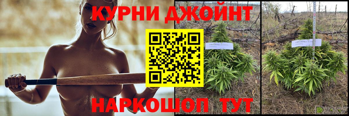 Каннабис SATIVA & INDICA Бердск